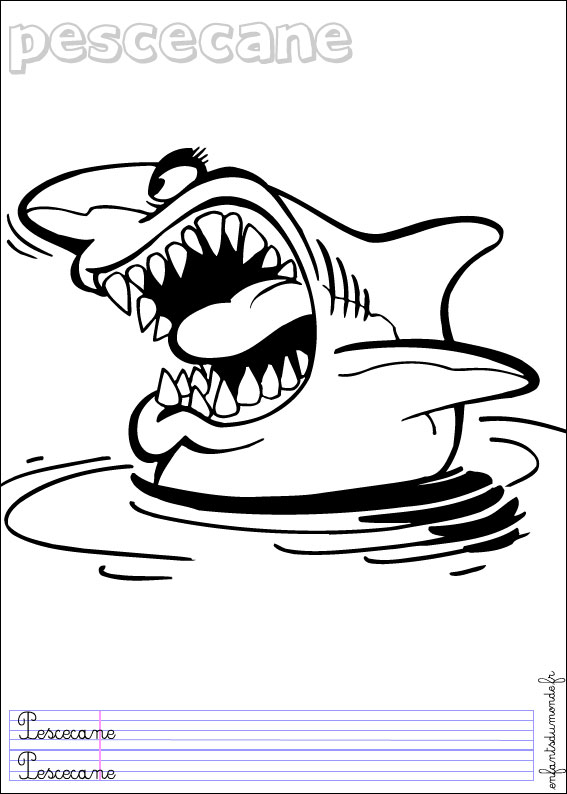 coloriage requin 2